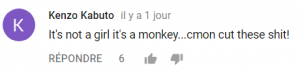 Commentaire-en-anglais-its-a-monkey