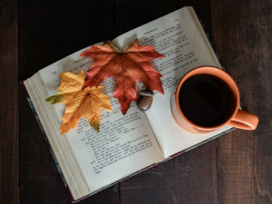 5 livres à lire en Novembre © Pixabay / CC0 dh_creative